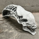 Aliens Xenomorph Skull