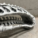 Aliens Xenomorph Skull