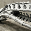 Aliens Xenomorph Skull