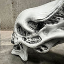 Aliens Xenomorph Skull