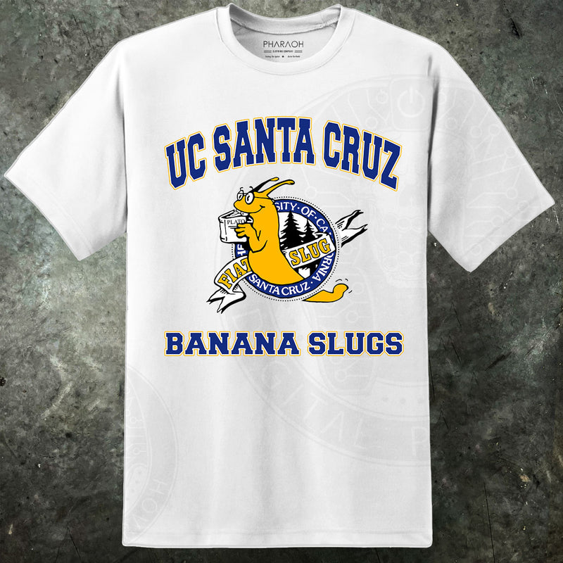 UC Santa Cruz Banana Slugs Men's Heavy Cotton T-Shirt – Grey Short Sleeve (S-5XL)