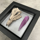 Cráneo de Skeksis de cristal oscuro & Marco de cristal