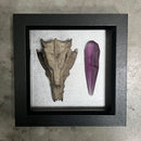 Cráneo de Skeksis de cristal oscuro & Marco de cristal