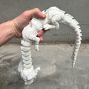 FALKOR LUCK DRAGON HISTOIRE DE NEAVEN