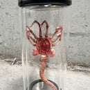 Utlänningar facehugger exemplar