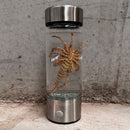 Aliens Facehugger LED Speciment Jar MK 2.0