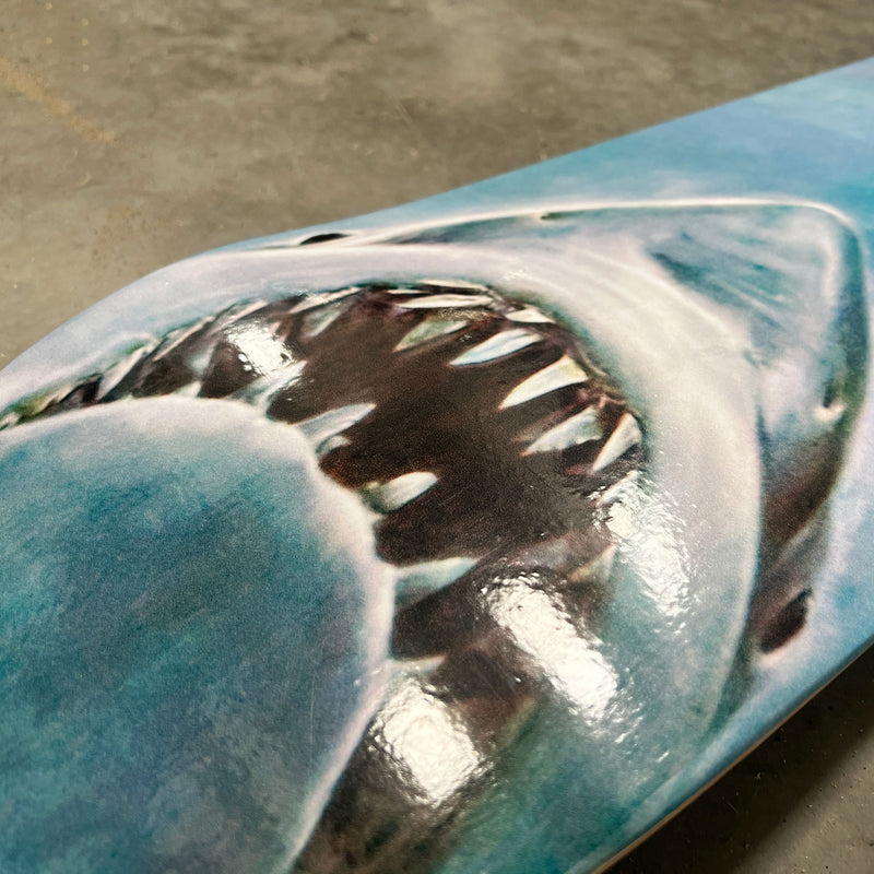 Kiefer-Skateboard-Wand-Kunst