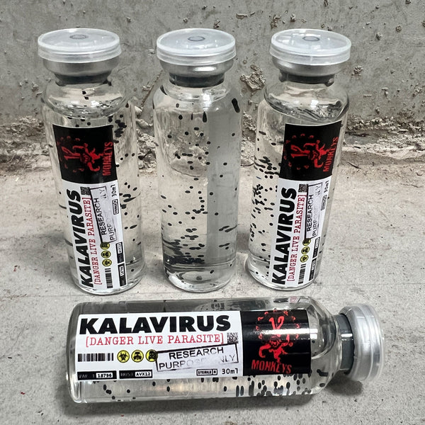 Armé av de 12 apor Kalavirus -injektionsflaskan