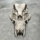 Mörk kristallskeksis skalle