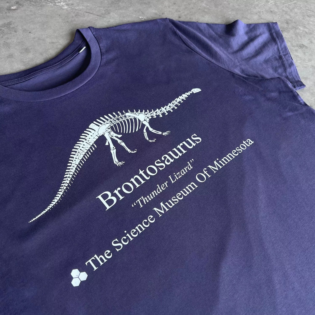 Dustin brontosaurus sweatshirt sales